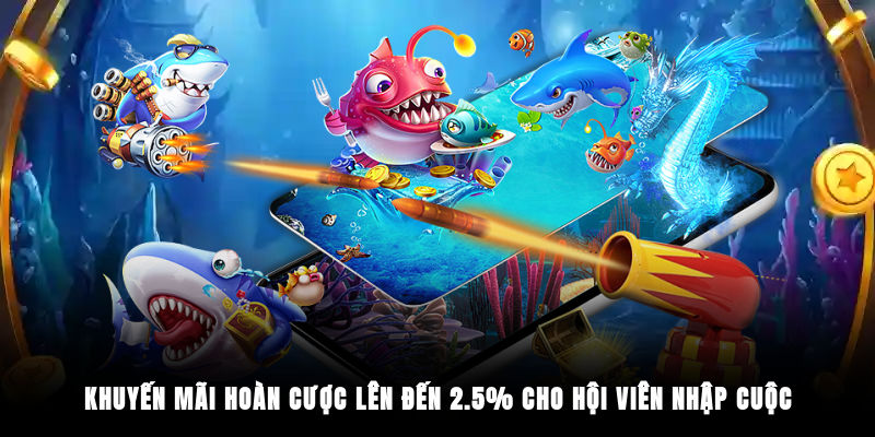 Khuyến mãi hoàn cược lên đến 2.5% cho hội viên nhập cuộc