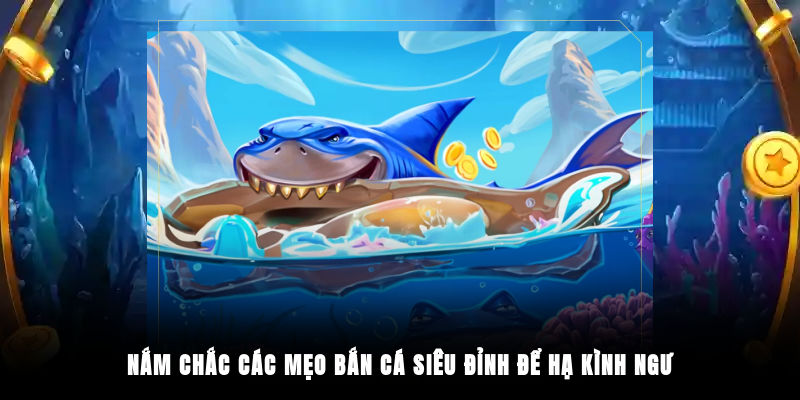 Nắm chắc các mẹo bắn cá siêu đỉnh để hạ kình ngư